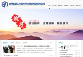 罗甸城市开发投资集团有限公司